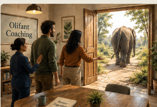 Three colleagues at Olifant Coaching opening a door to let the elephant walk out into the open